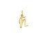 Charm de plata 925 bañada en oro amarillo de 18K con inicial Ñ