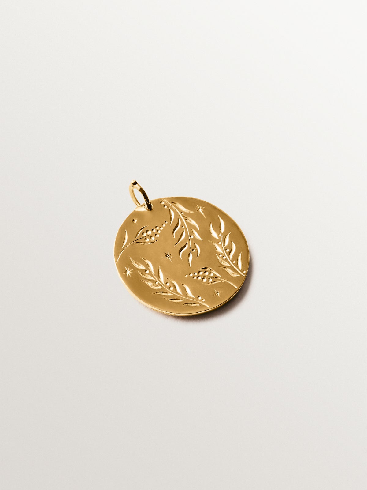 Charm de plata 925 bañada en oro amarillo de 18K con forma de moneda