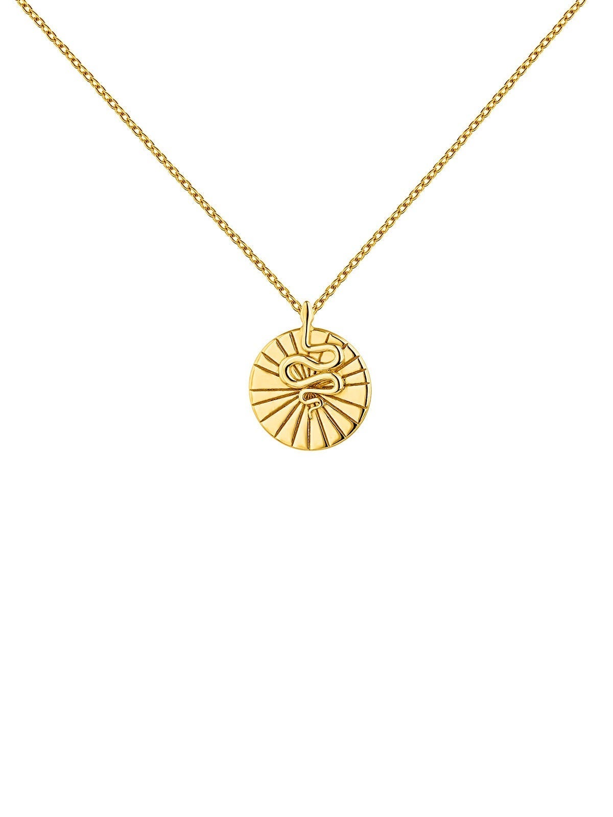 Colgante de plata 925 bañada en oro amarillo de 18K con medalla y serpiente