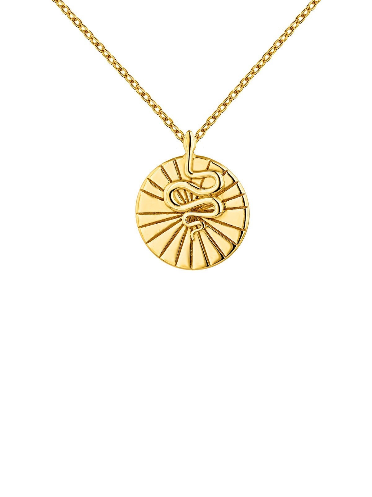 Colgante de plata 925 bañada en oro amarillo de 18K con medalla y serpiente