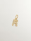 Charm de plata 925 bañada en oro amarillo de 18K y topacios blancos inicial R