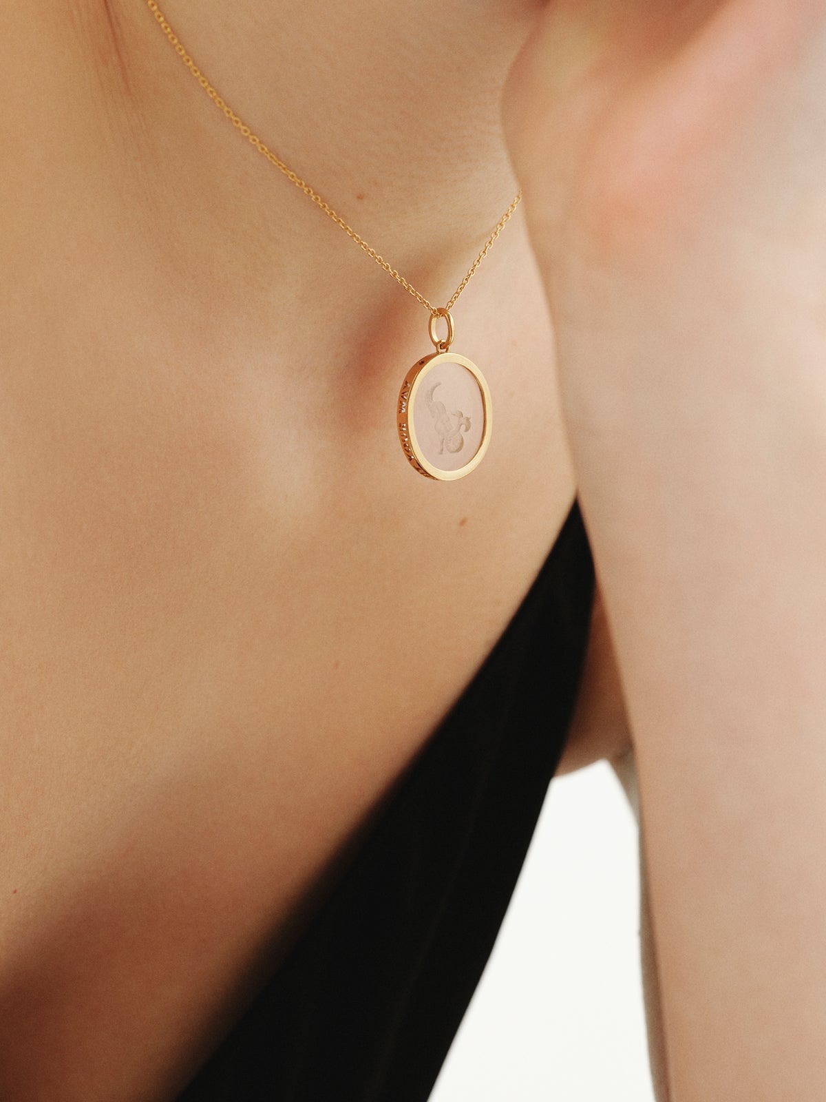 Charm Carpricornio de plata 925 bañada en oro amarillo de 18K y cristal de roca