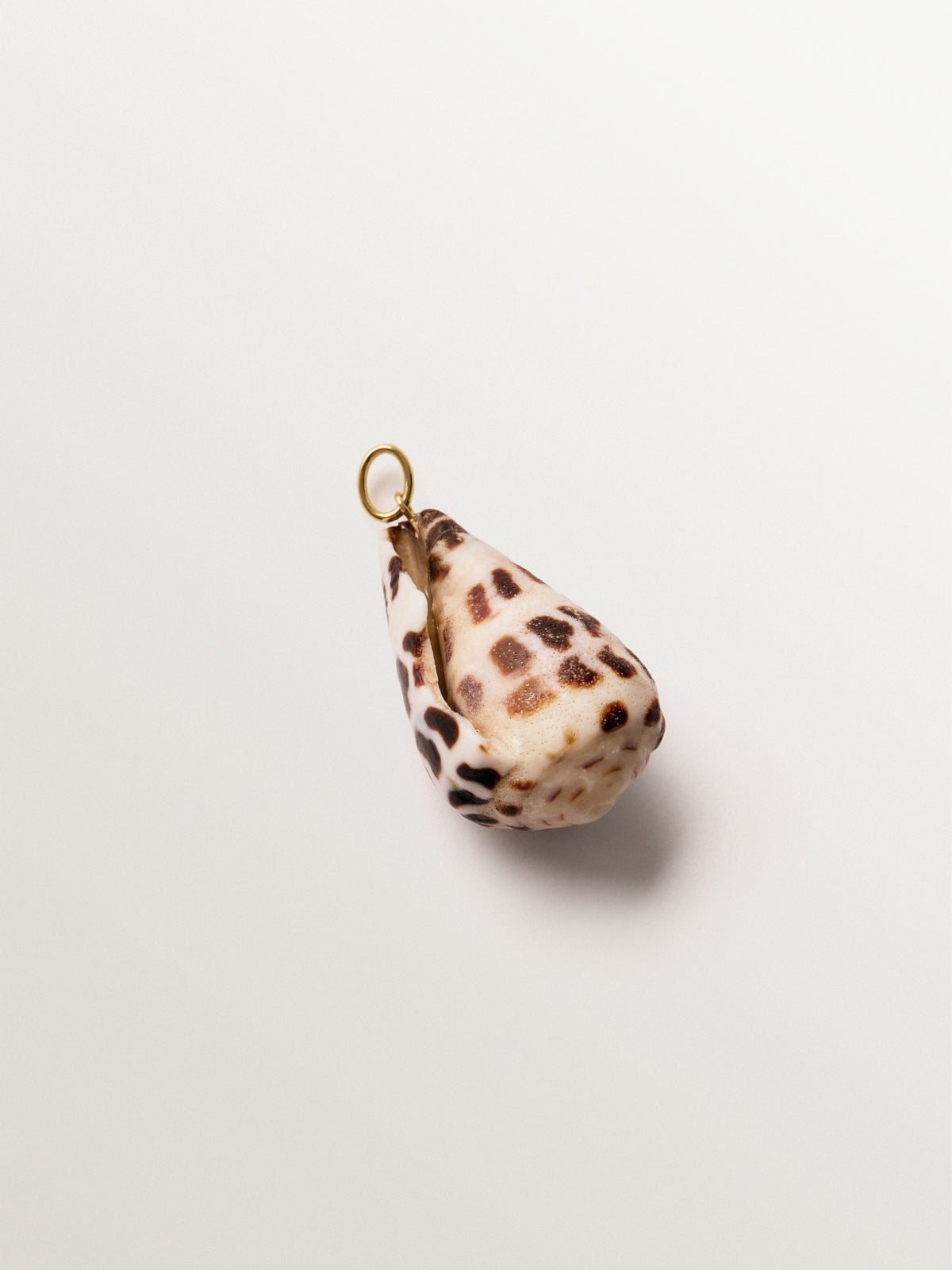 Charm de plata 925 bañada en oro amarillo de 18K con concha marrón