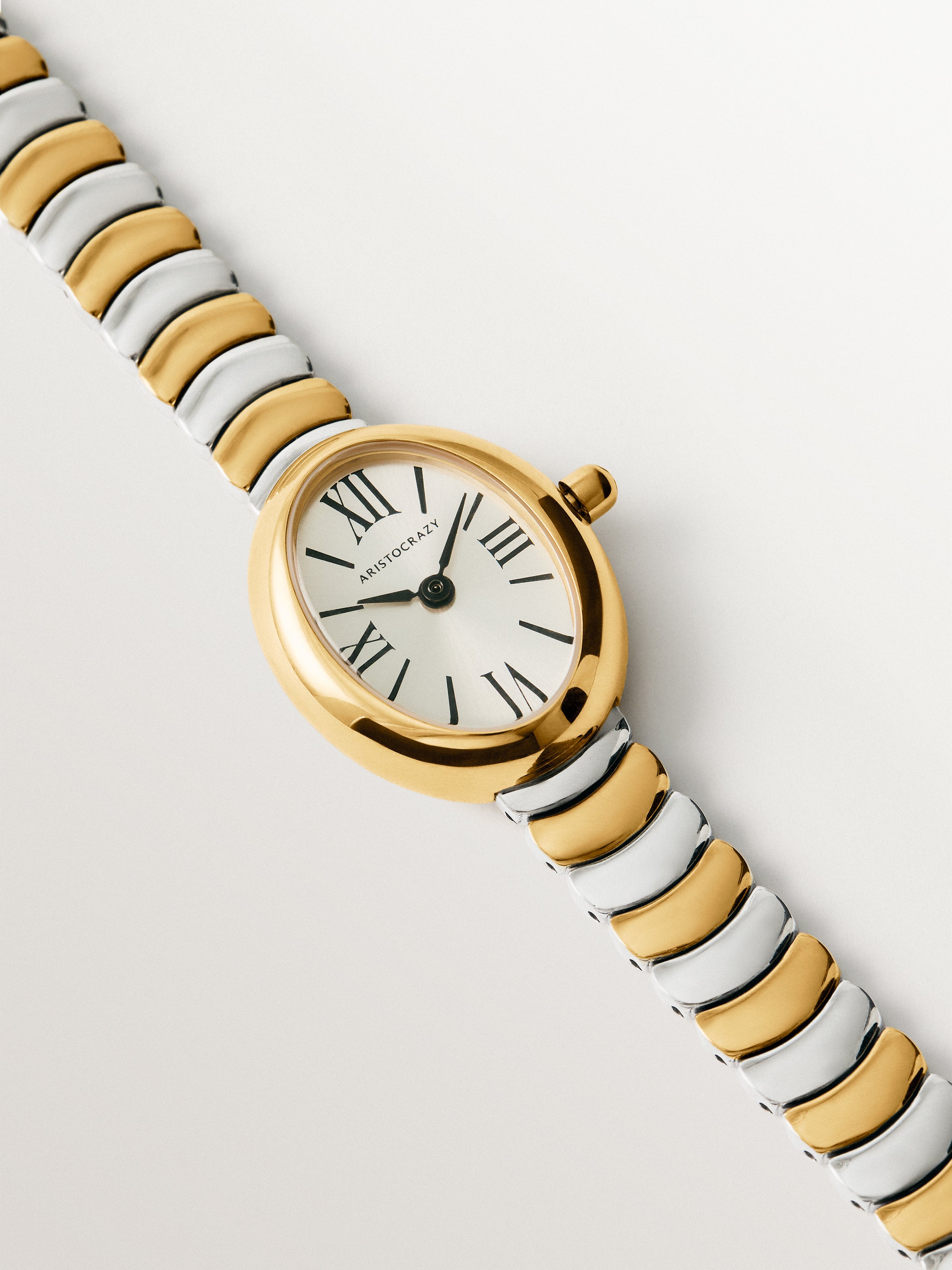 Reloj Salesas de acero con esfera blanca y correa bicolor 