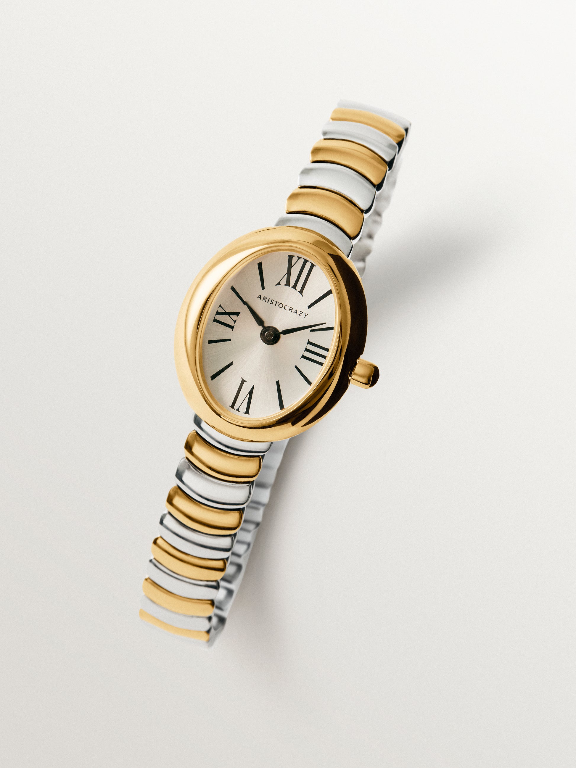 Reloj Salesas de acero con esfera blanca y correa bicolor 