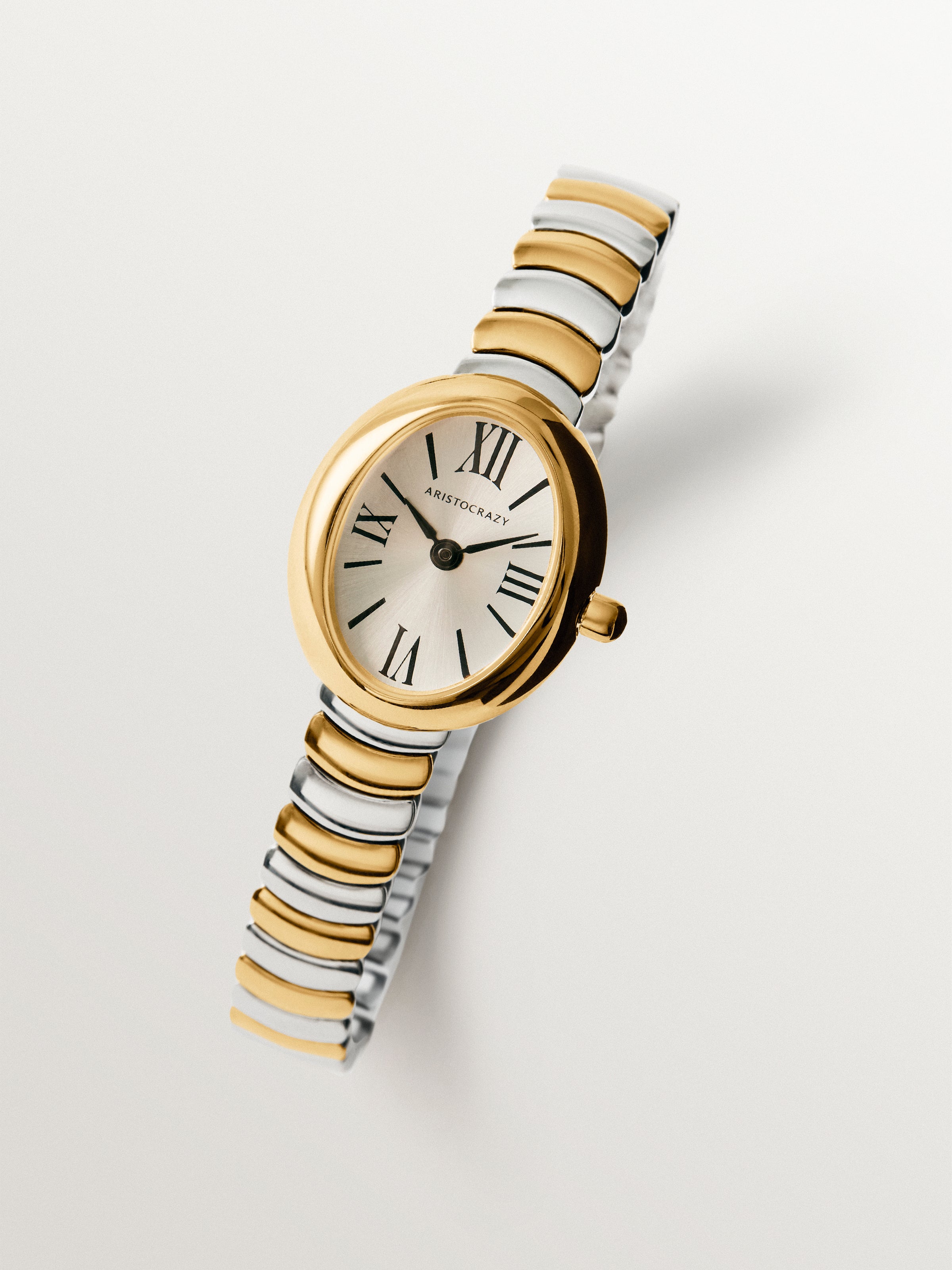 Reloj Salesas de acero con esfera blanca y correa bicolor 