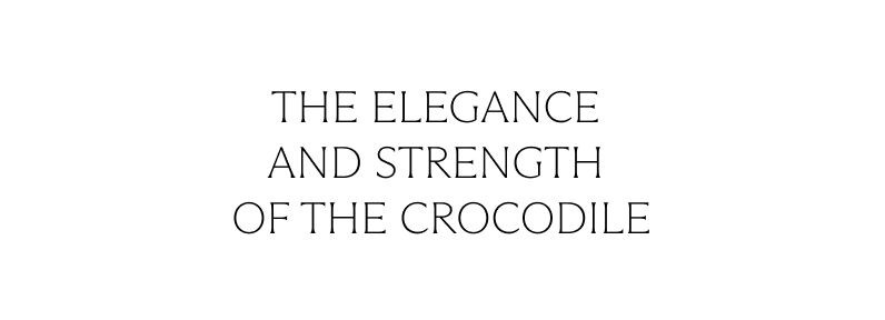 The elegance and strength of the crocodile | Aristocrazy
