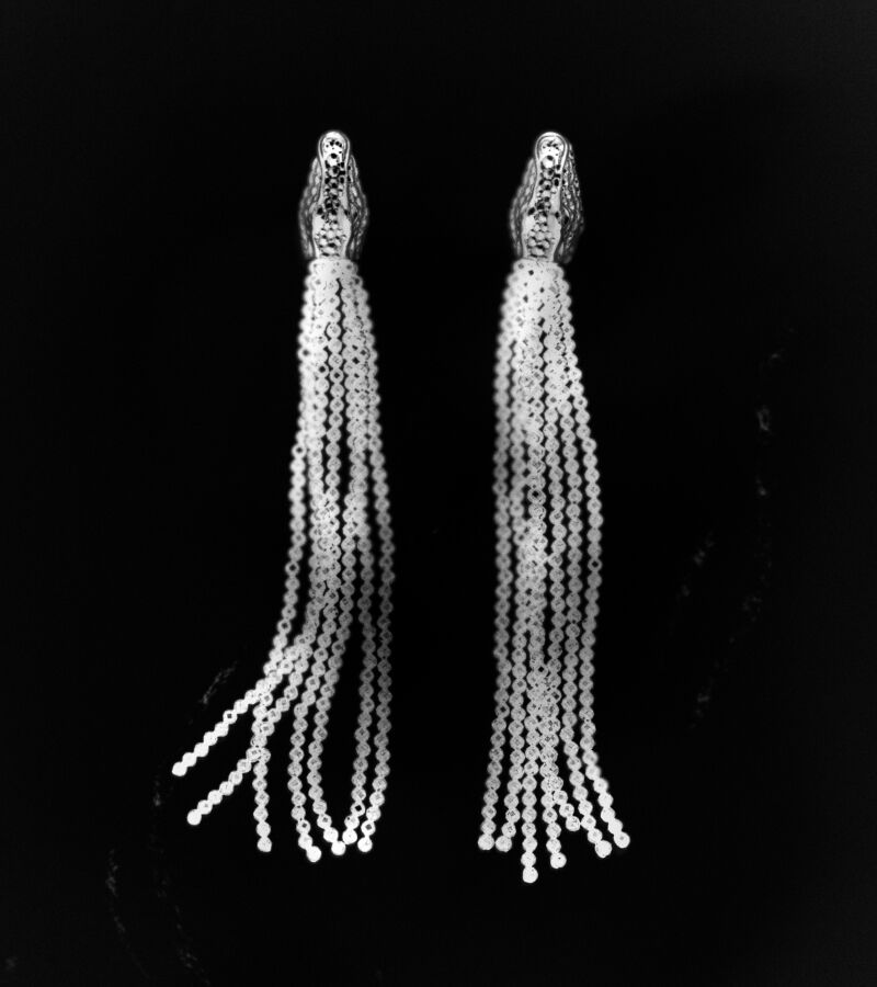 Long 925 silver earrings shaped like a crocodile and black spine | Aristocrazy 