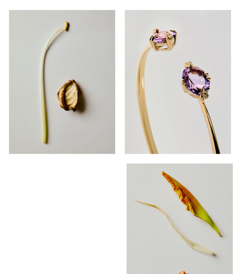 Isabelle | Aristocrazy