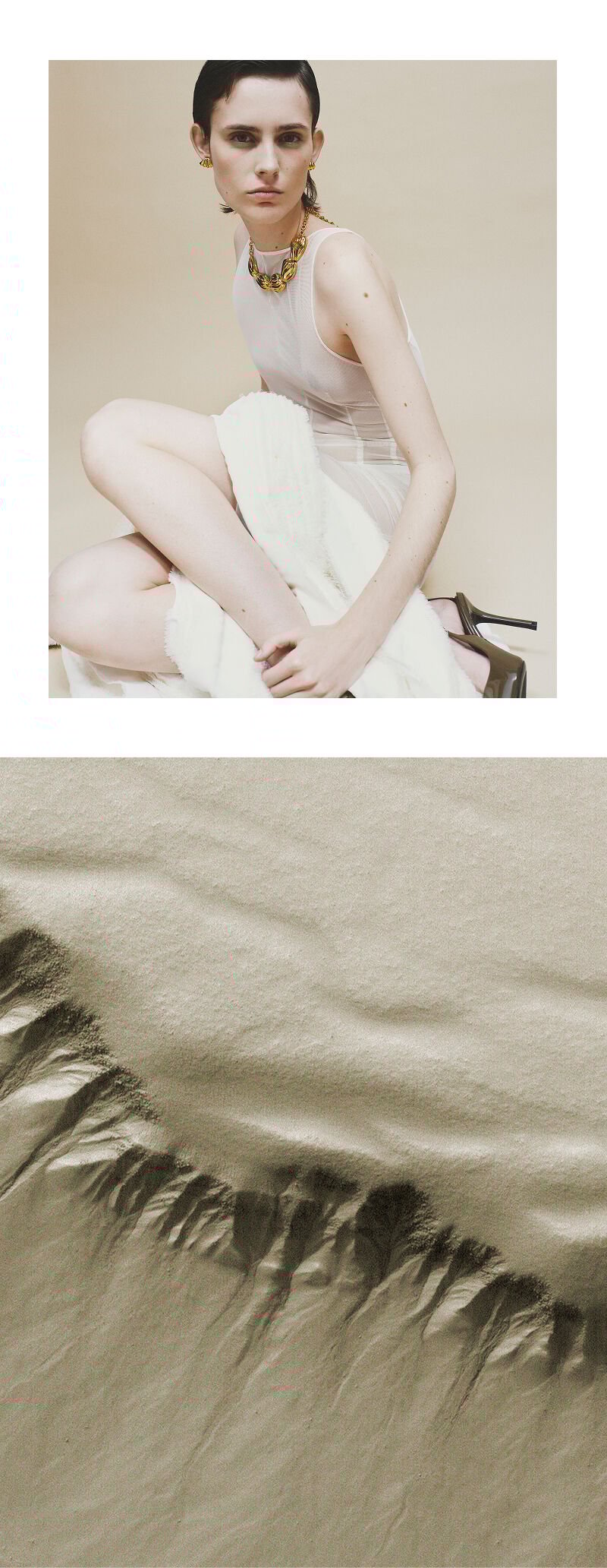 Bird's eye | Aristocrazy
