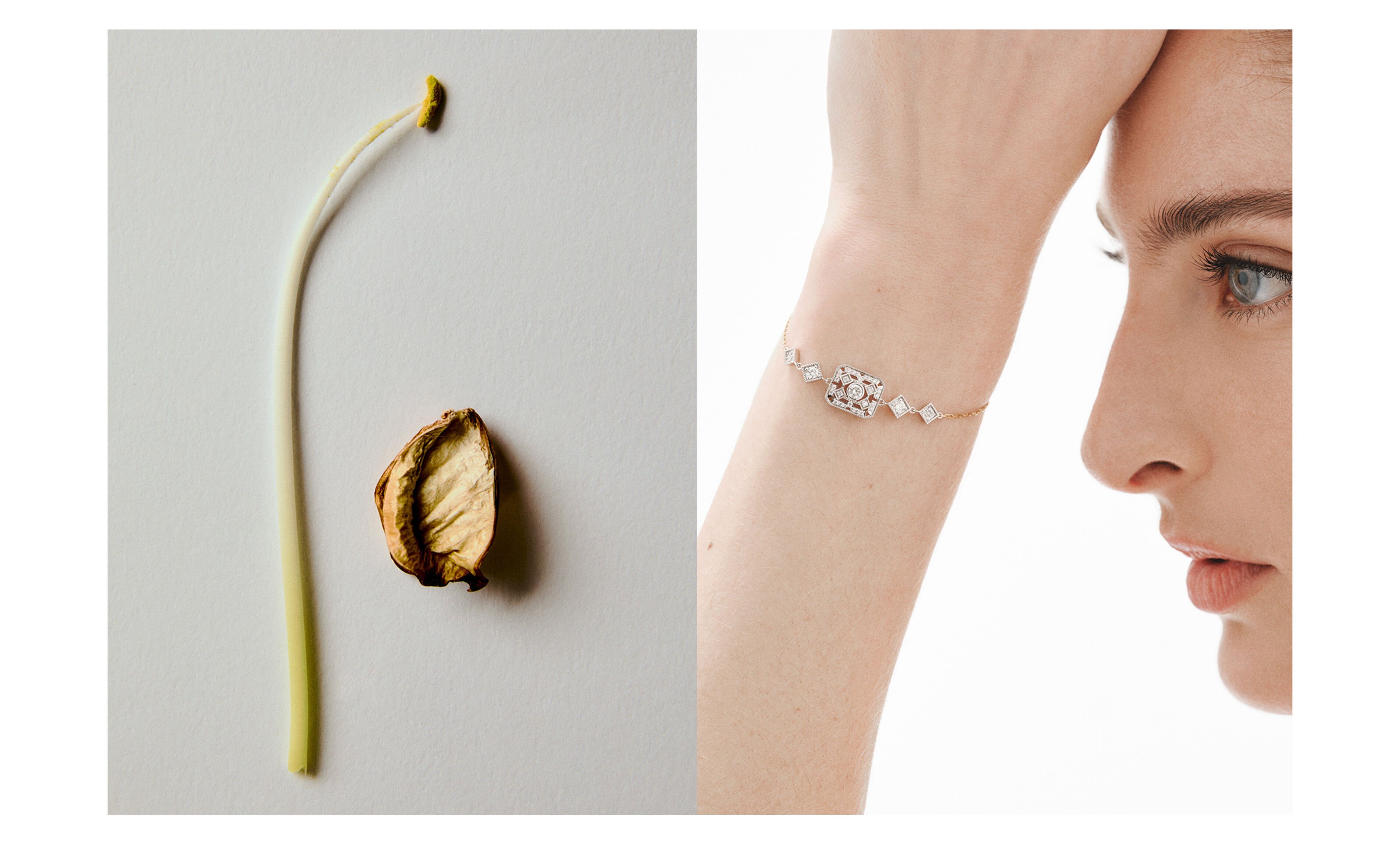 Diamond Corner | Aristocrazy