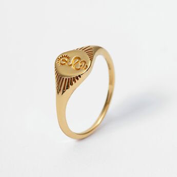 Snake signet ring in 18k yellow gold-plated silver, J04830-02, mainproduct