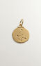 Gold-plated silver Aquarius charm  , J04780-02-ACU