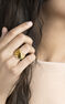 Large gold plated cabled ring , J01439-02