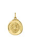 Gold-plated silver Leo charm  , J04780-02-LEO