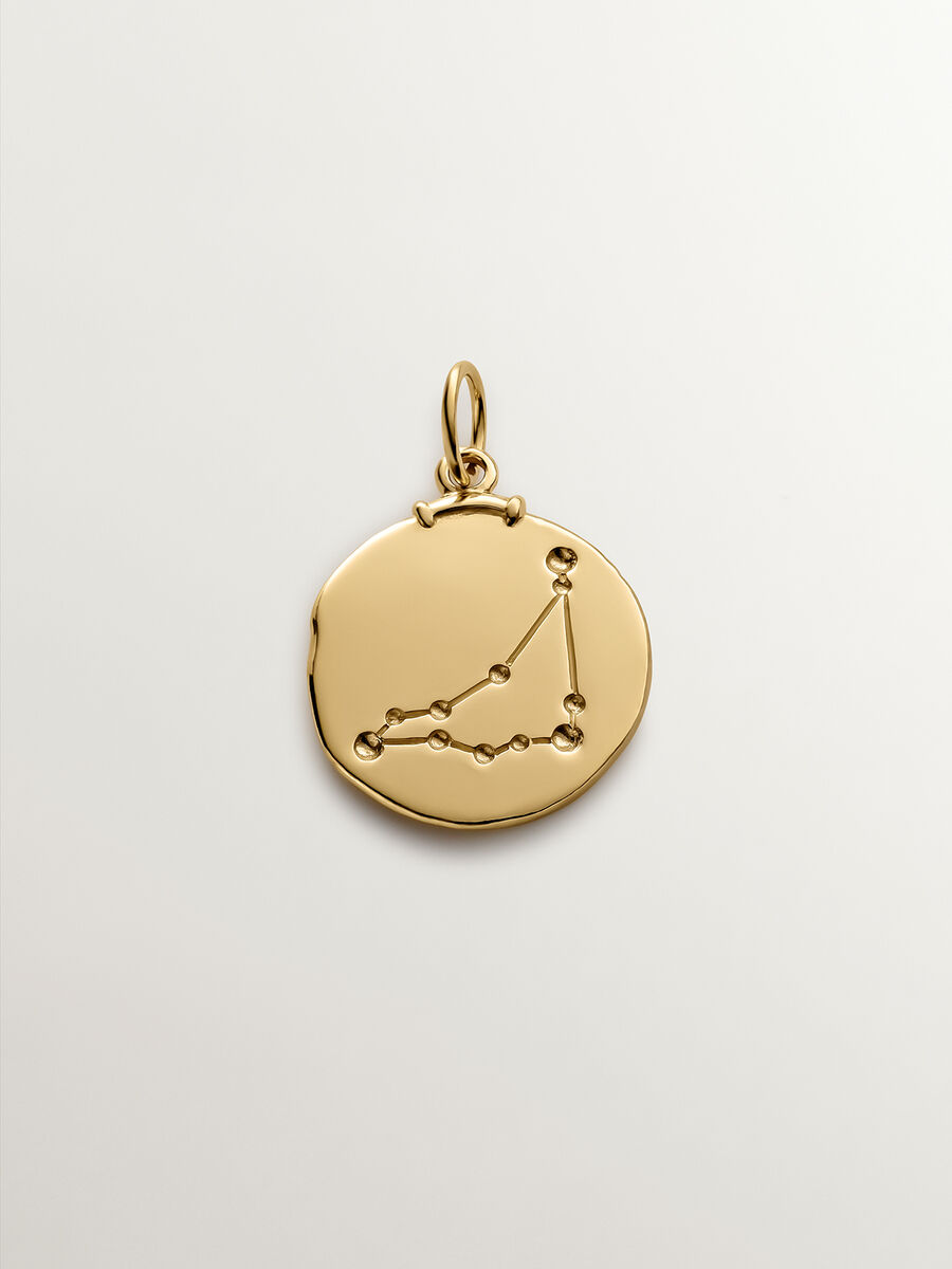 Charm medalla Capricornio de plata bañada en oro amarillo de 18kt, J04780-02-CAP, mainproduct