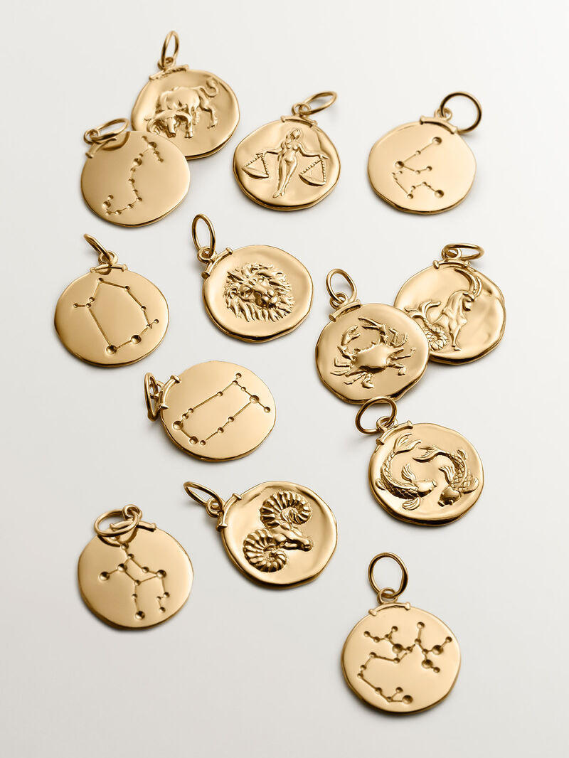 925 Silver Aquarius Charm Coated in 18K Yellow Gold image number 6
