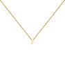Gold Initial F necklace, J04382-02-F