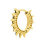 Gold hoop earring piercing with spikes , J03846-02-H