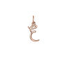 Rose gold-plated silver E initial charm , J03932-03-E