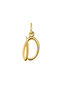Gold-plated silver D initial charm  , J03932-02-D