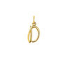 Gold-plated silver D initial charm , J03932-02-D