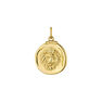 Pendentif lion argent plaqué or , J04780-02-LEO