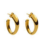 Medium gold plated oval earrings , J00800-02