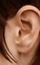 Single spike earring in 9k white gold , J03877-01-H