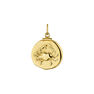 Gold-plated silver Cancer charm , J04780-02-CAN