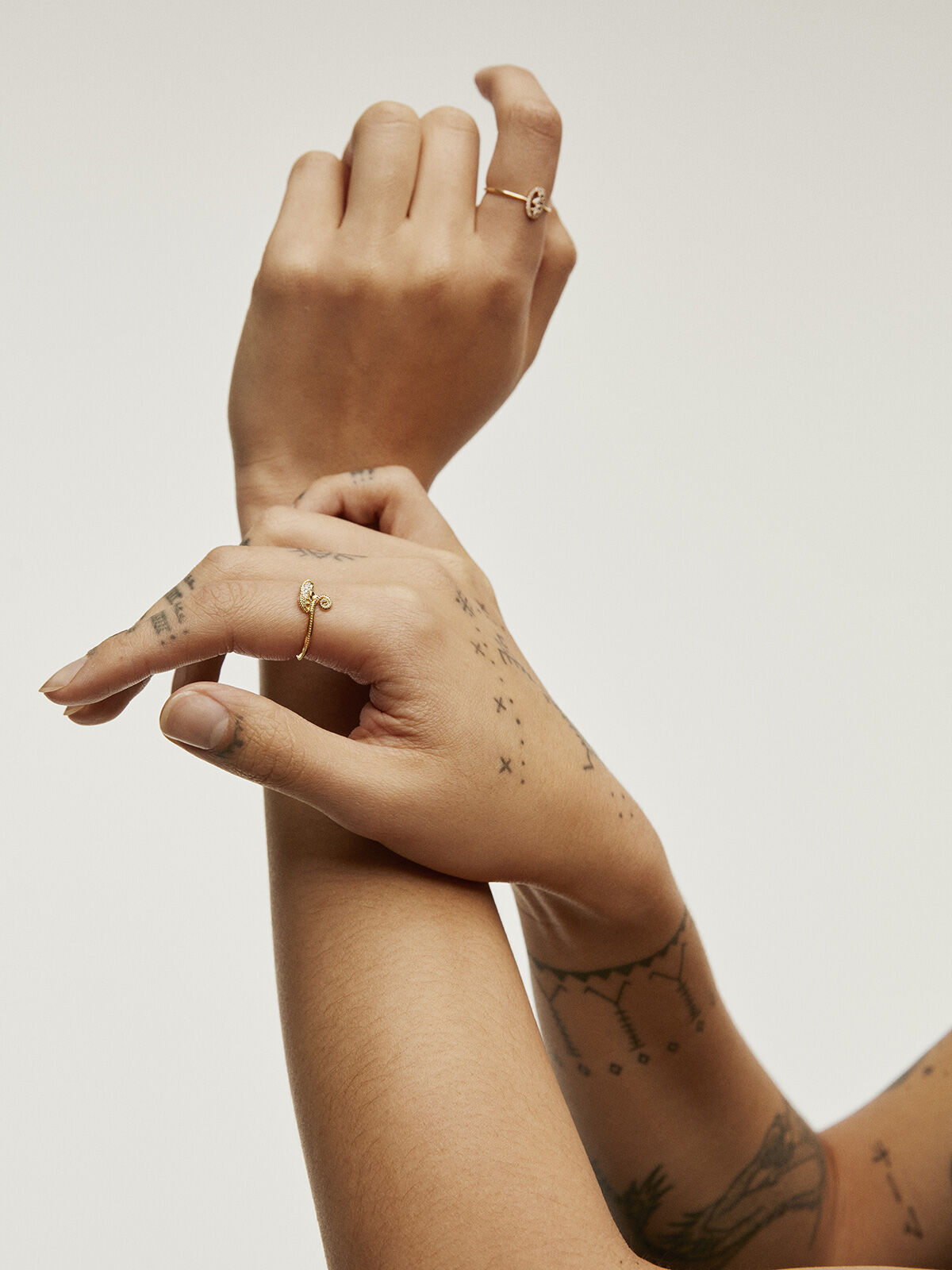 Aristocrazy anillo camaleon store
