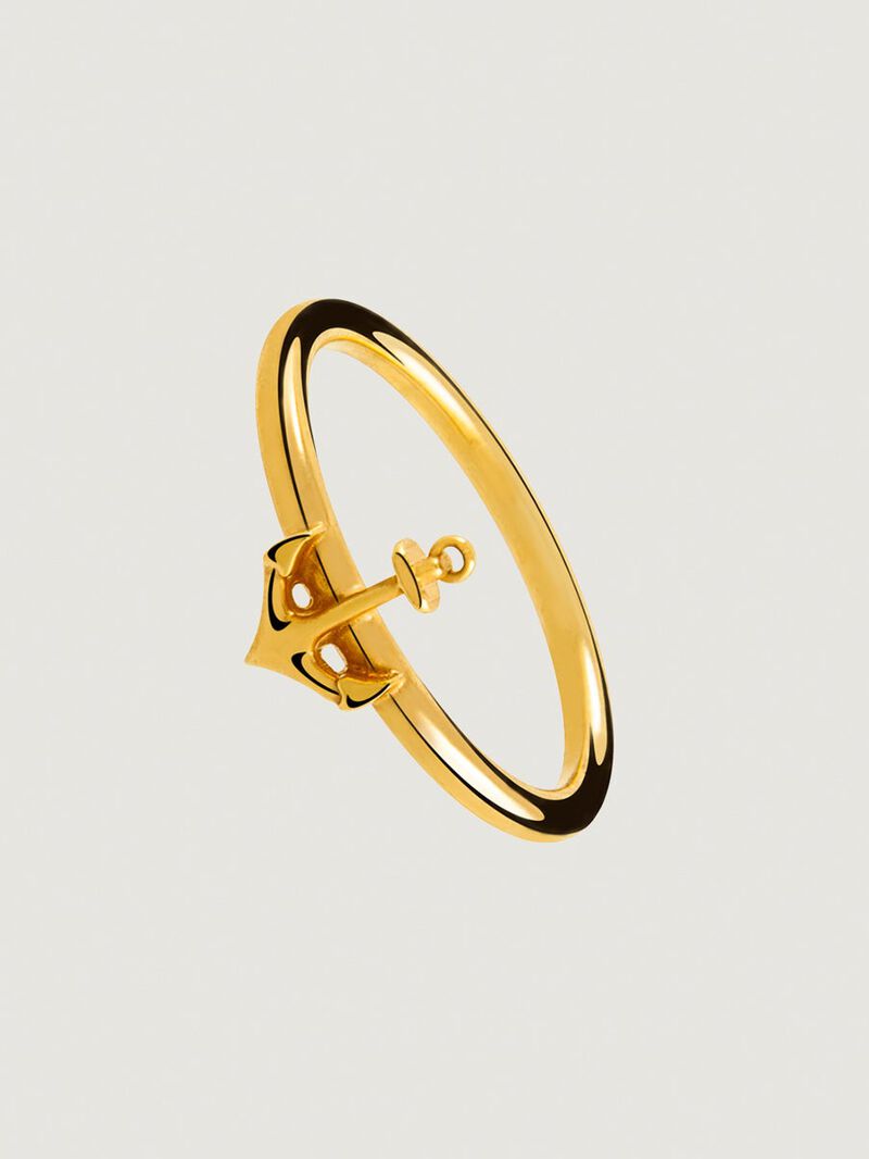 Silver ring bathed in yellow gold on anchor image number 0