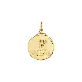 Charm medalla Acuario de plata bañada en oro amarillo de 18kt, J04780-02-ACU, mainproduct