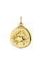 Gold-plated silver Cancer charm  , J04780-02-CAN
