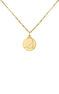 Charm medalla Capricornio de plata bañada en oro amarillo de 18kt, J04780-02-CAP