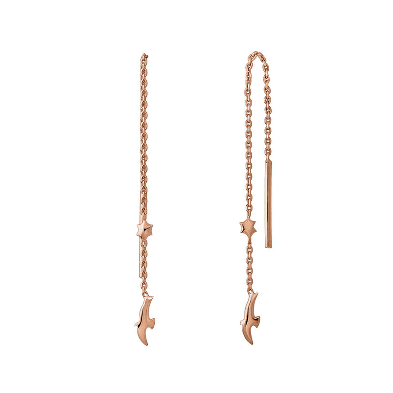 Rose gold plated bird and star motif earrings , J04609-03, hi-res
