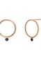 Rose gold plated circle earrings with spinels , J03671-03-BSN