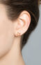 Boucles d'oreilles étoile creuse argent plaqué or rose , J01895-03