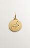 Gold-plated silver Leo charm  , J04780-02-LEO