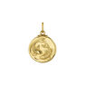 Gold-plated silver Pisces charm , J04780-02-PIS