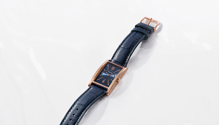 soin de la montre