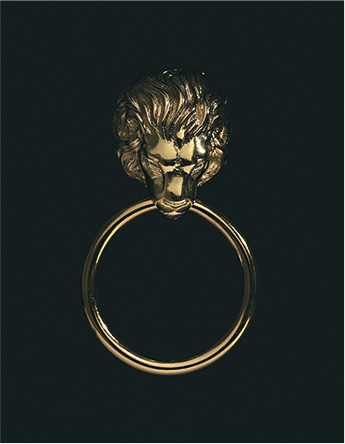 GOLD PLATED LION EARRINGS 

