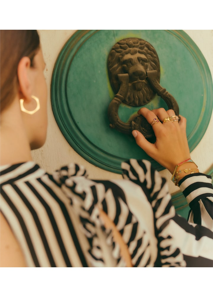 DISCOVER THE COLLECTION HIT