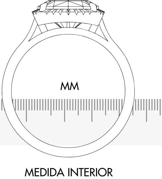guía de tallas Aristocrazy